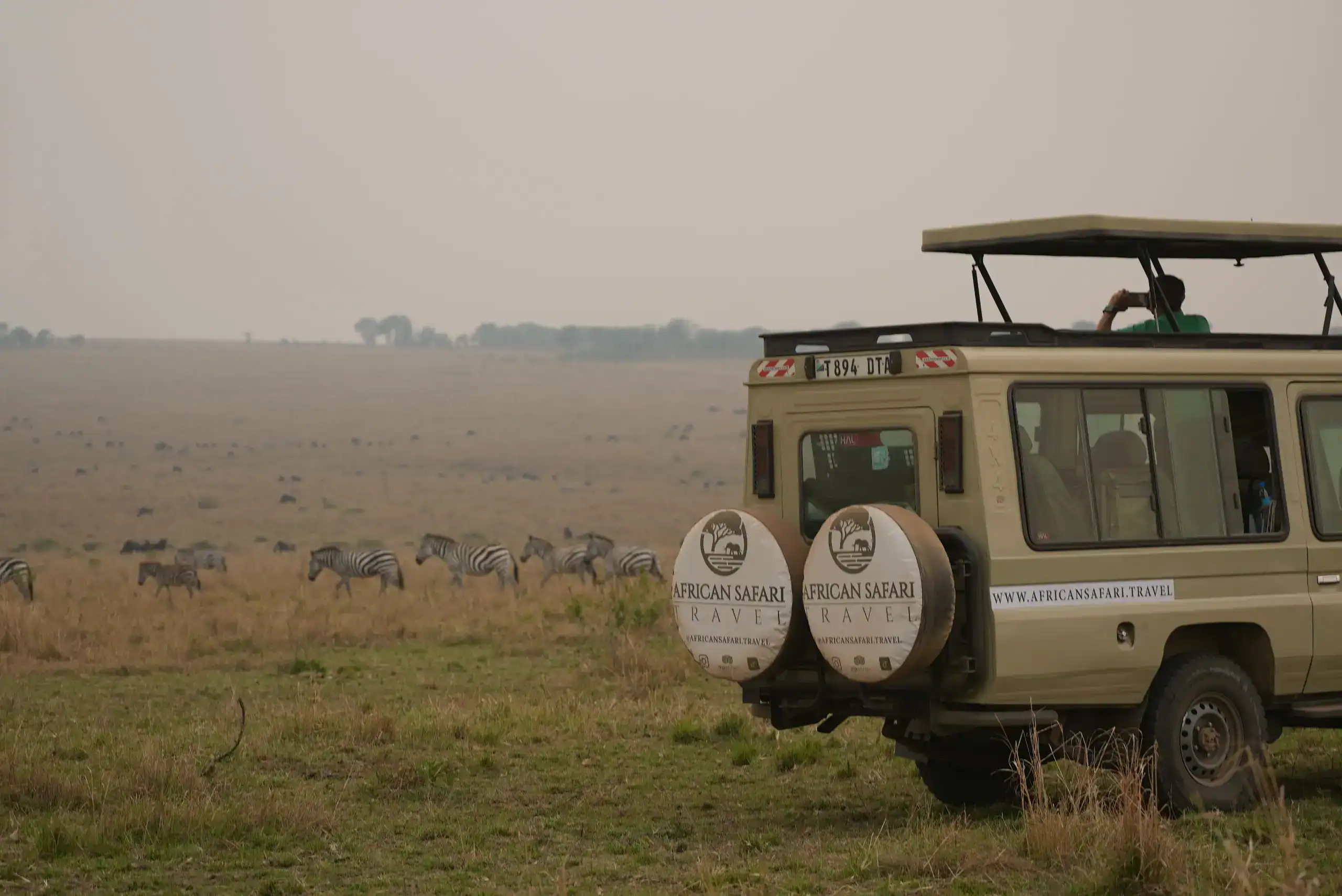 Safari en Tanzania con guías expertos y rutas a medida